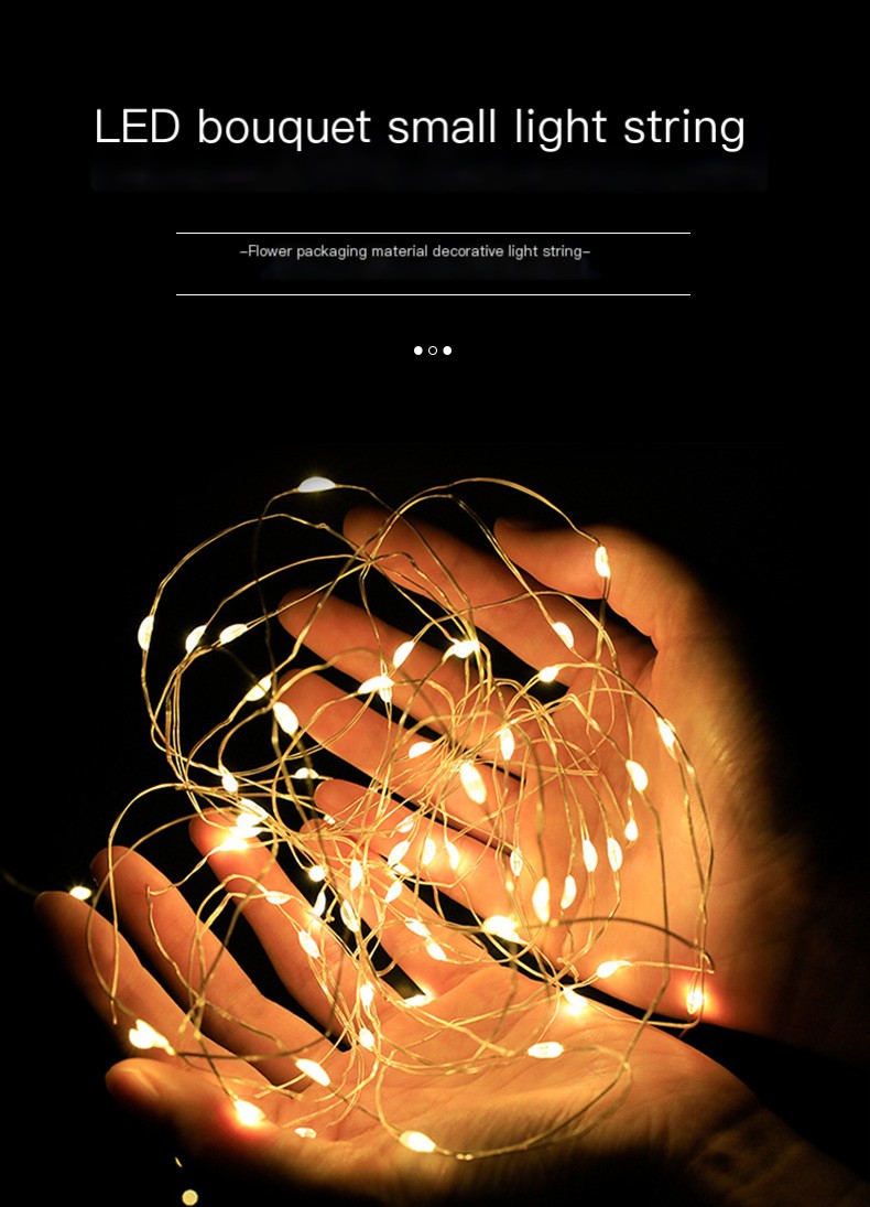 LED Fairy Lights Image 1