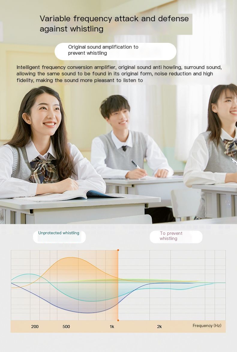 Bluetooth Portable Amplifier 12