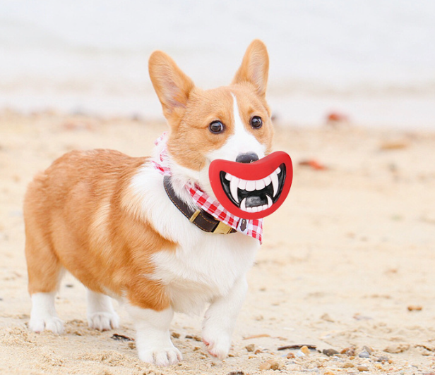 Pet Toy Image 2