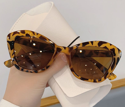 Stylish Sunglasses Variation 1