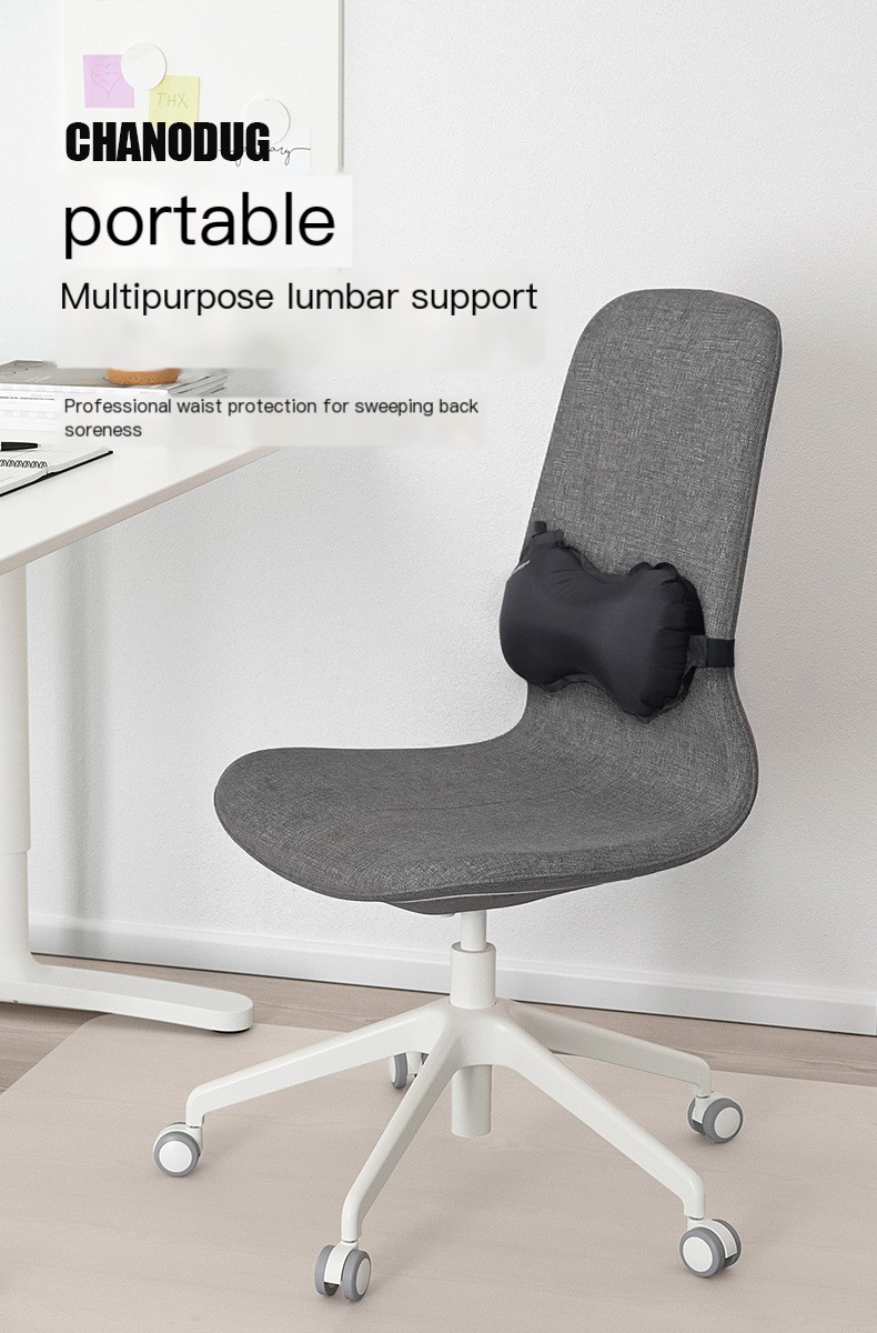 Lumbar Support 1