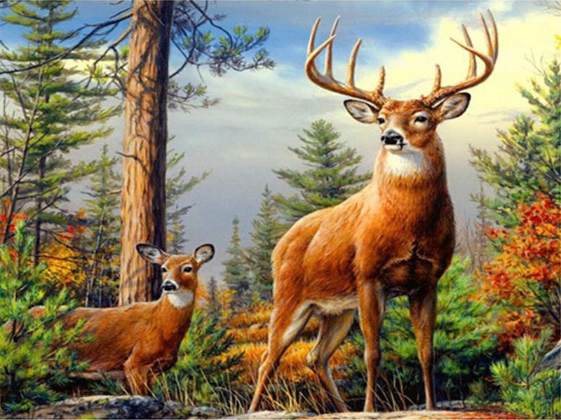 DIY 5D Deer Landscape Diamond Painting