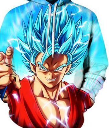 Hooded Sweatshirt Front