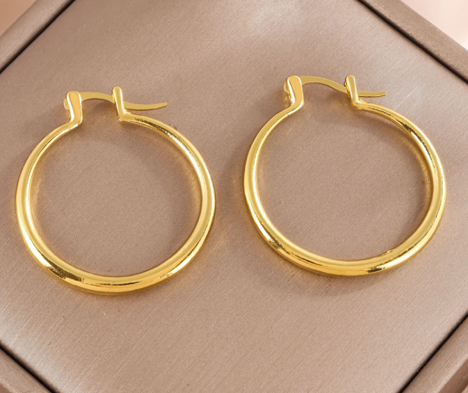 Stylish Hoop Earrings