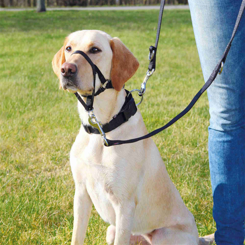 Dog Muzzle Image 4