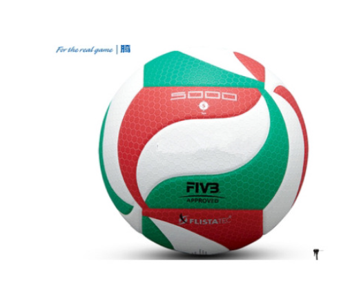 Volleyball Image 12