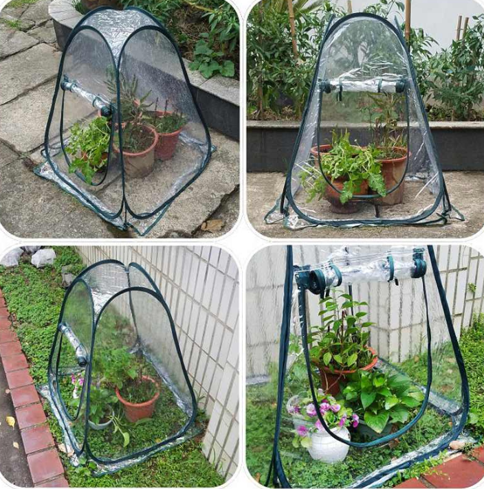 Foldable Greenhouse 3