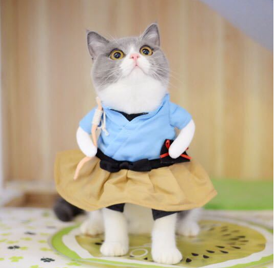 Leisure style pet clothing