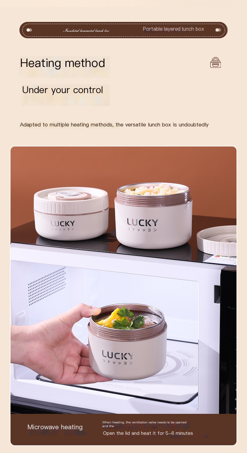 Insulated Lunch Box Design 4