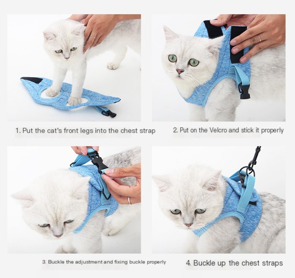 Dog Harness and Leash Details