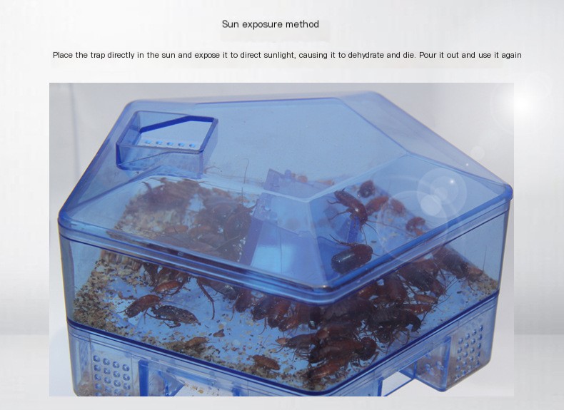 Cockroach Trap 7