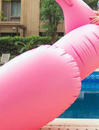 Flamingo Float Image 6