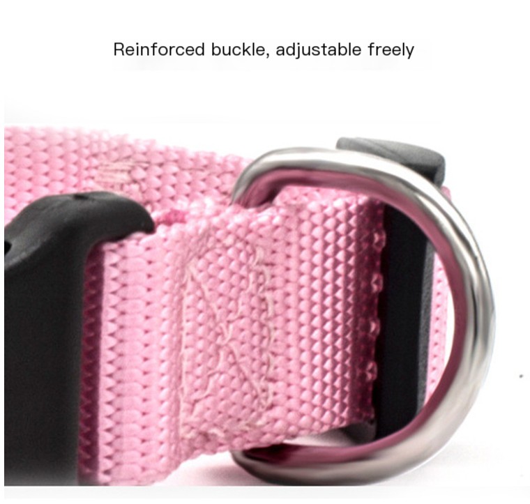 Nylon Pet Collar Image 4