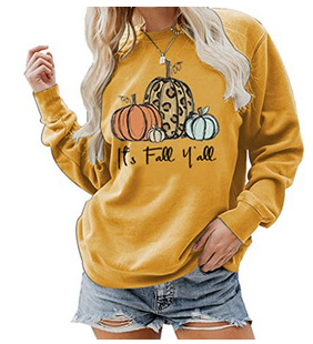 Stylish Pullover