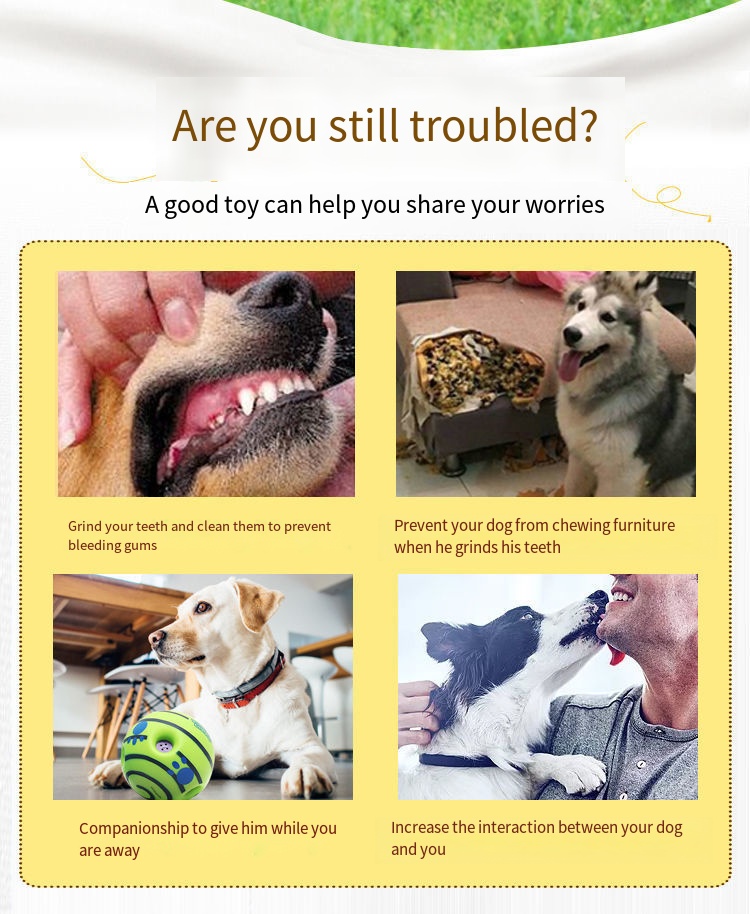 Pet Toy Image 8