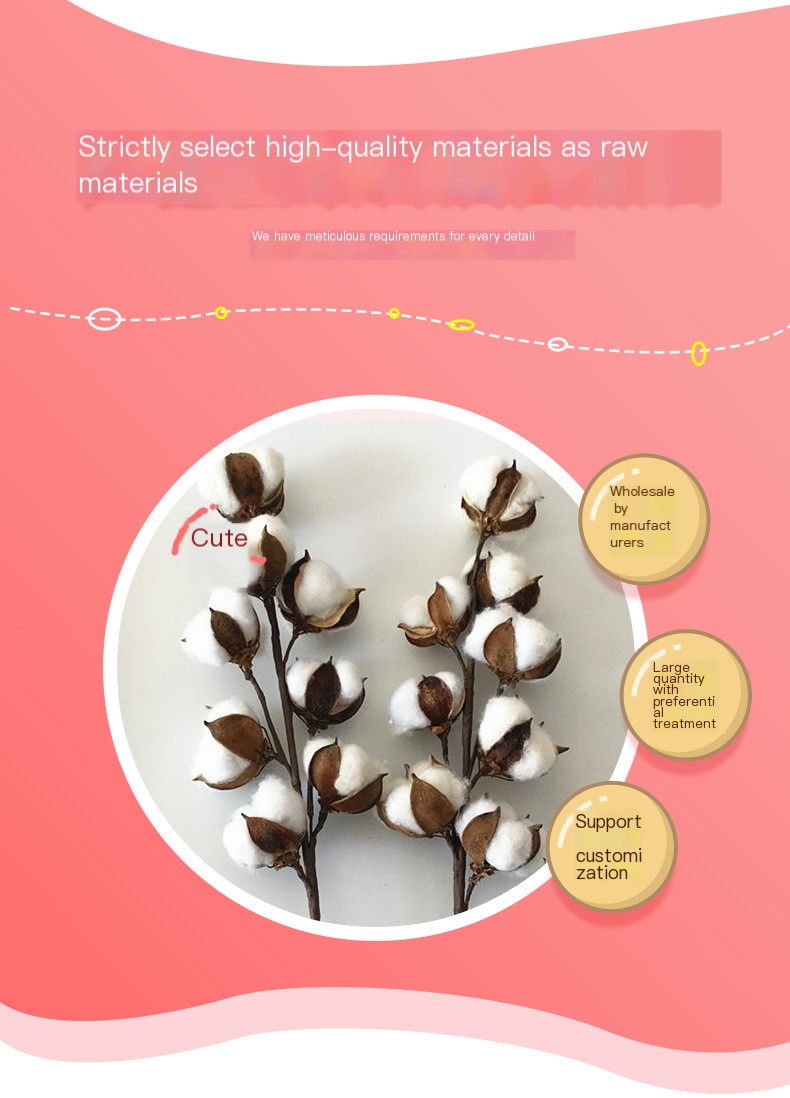 Cotton Dried Flower 3