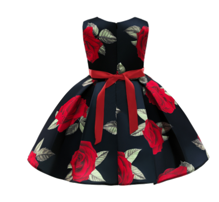 Princess Dress Image 2