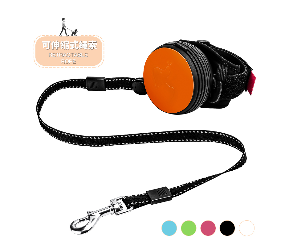 Pet Leash Image 1