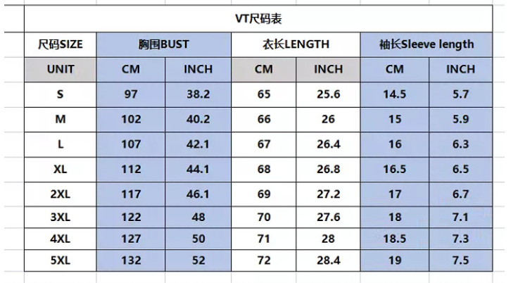 Elegant V-Neck T-Shirt 1