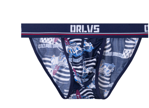 T pants thong style 9