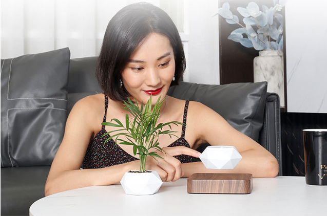 Magnetic Levitation Flowerpot 4