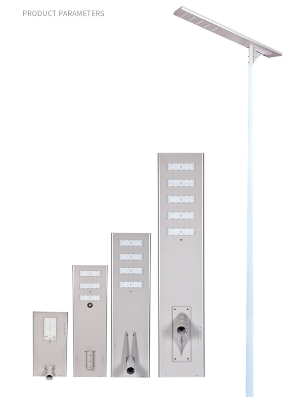 Solar Street Light in Action
