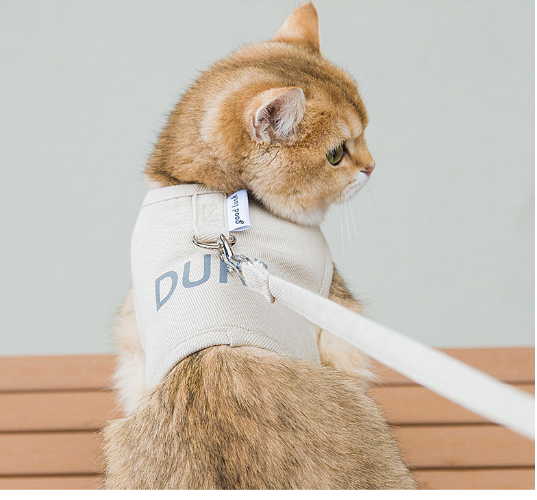 Gentle Paws Cat Harness in Action
