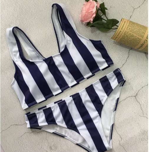 Striped Bikini Image 4