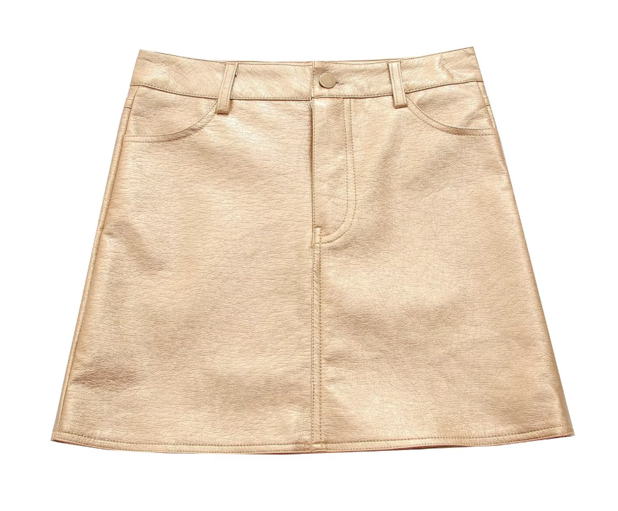 Metallic Skirt 2