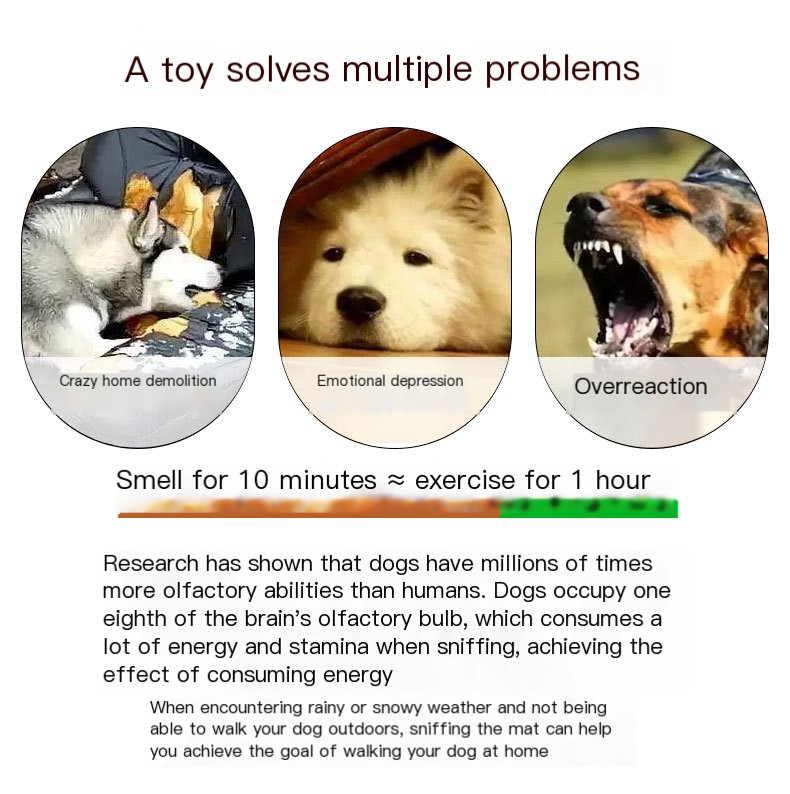Dog Dumbbell Toy 6