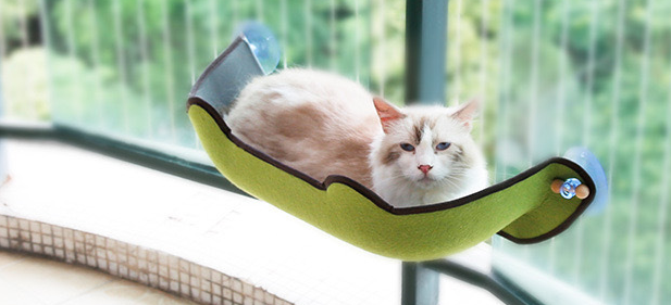 Pet Bed Green