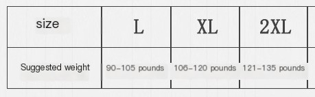 High-Waisted Shaping Pants Image 1