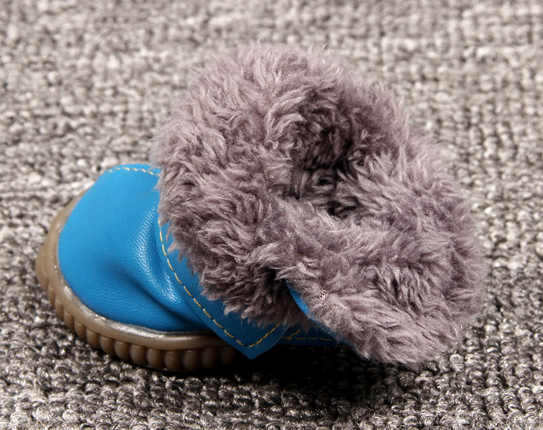 Dog boots displayed in different colors