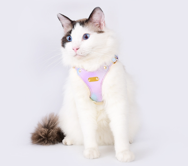 Outdoor Walking Harness