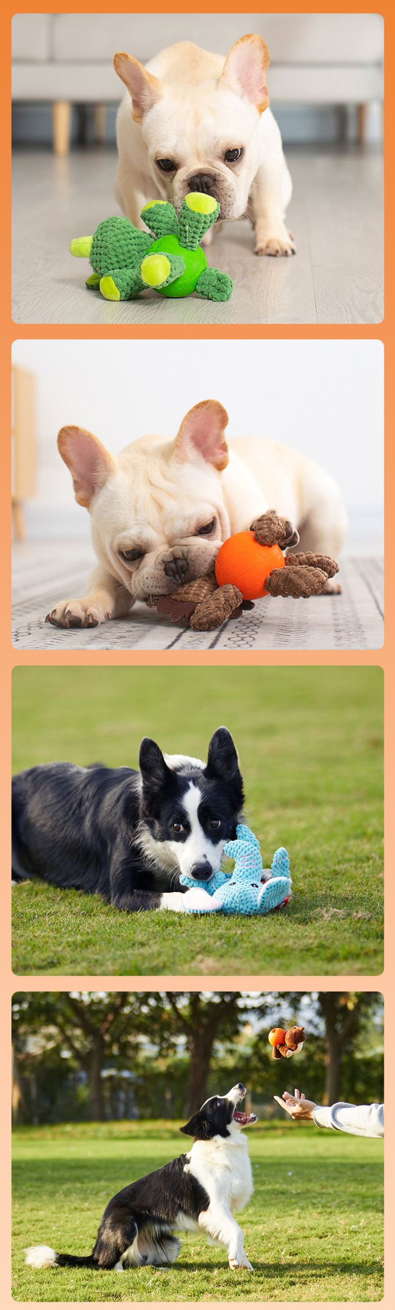 Fun Pet Toy