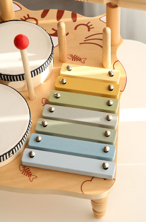 Multifunctional Music Drum Toy - BabyEmpire