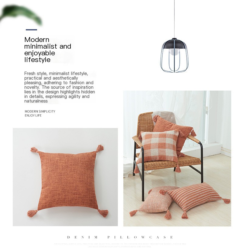 Cushion Cover 2