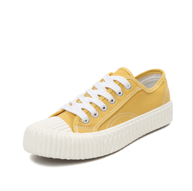 Canvas Shoes