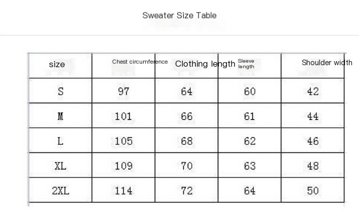 外贸长袖卫衣 There is no planet B sweatshirt