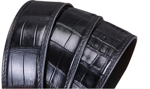 Stylish Buckle