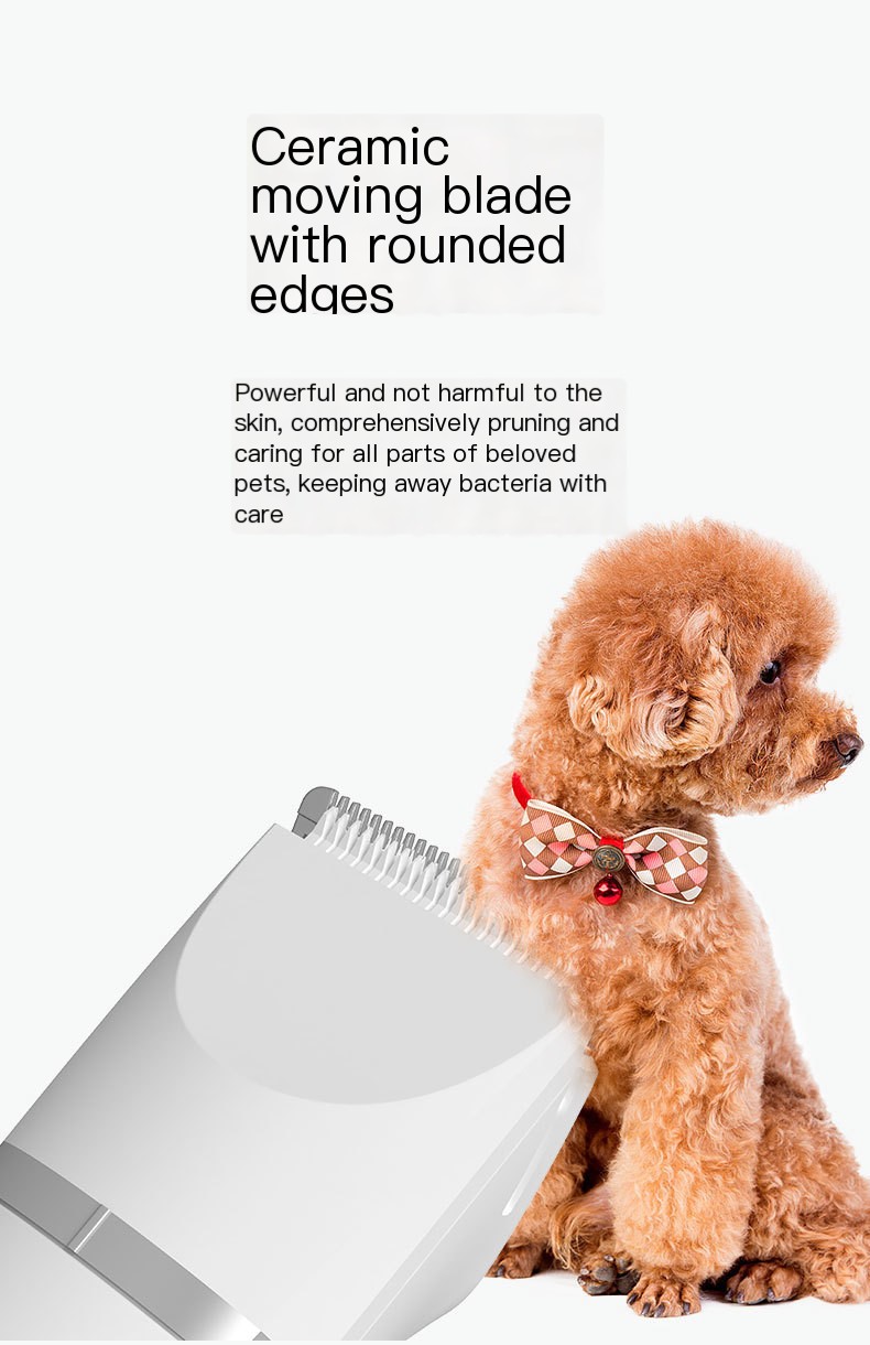 Pet Clipper 10
