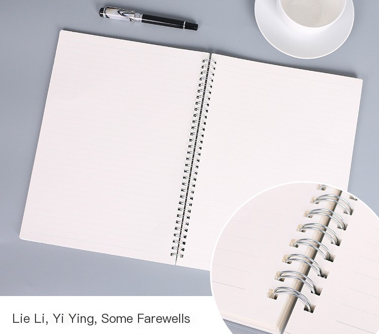 Notebook Image 3