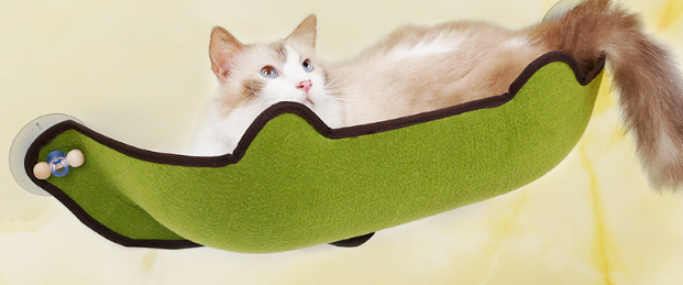 Pet Bed in Use