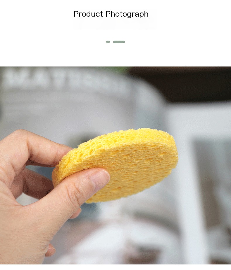 Cleansing Sponge