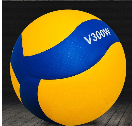 Volleyball Image 13