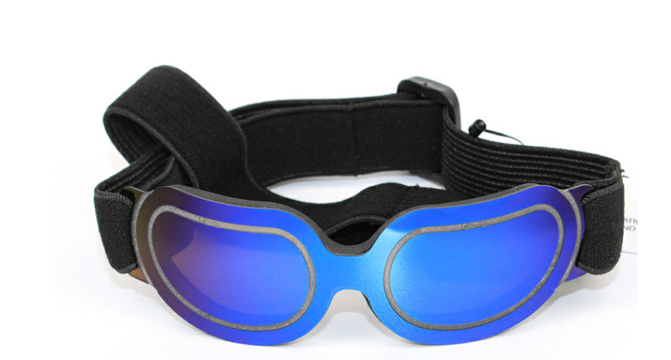 Gafas de sol coloridas para mascotas