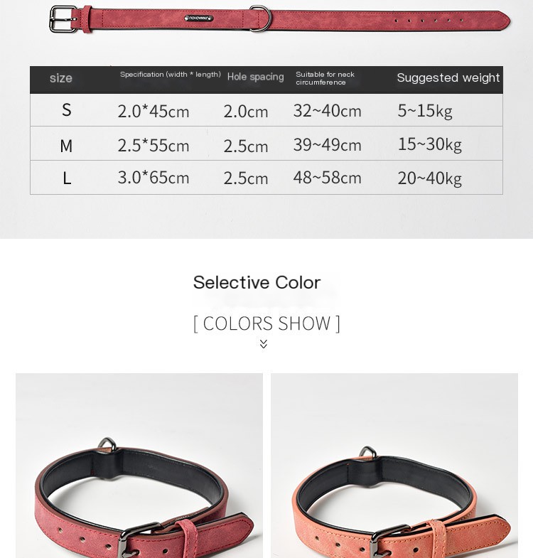 Puppy Dog Collar Design 5