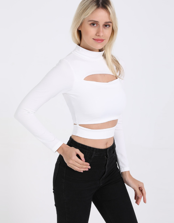 Elegant Long Sleeves Top
