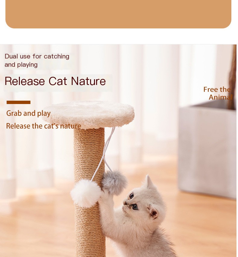 Cat Scratching Post 1