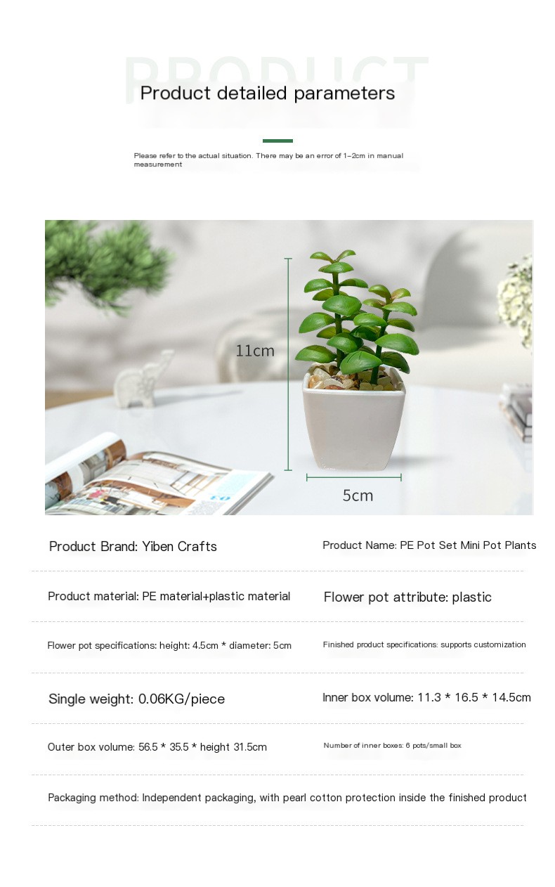 Diversas plantas suculentas